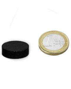 Scheibenmagnet Rundmagnet Ø 20 x  6mm Ferrit Y30 - hält 800g - Keramik-Magnet
